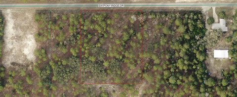 LAND - DUNNELLON, FL