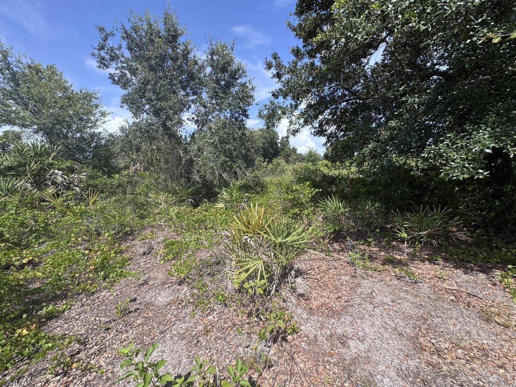 Picture 10