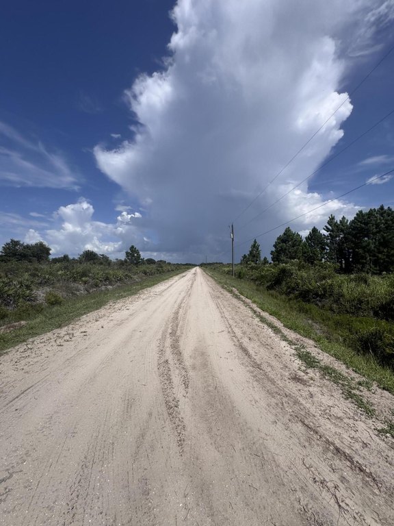 Picture 21