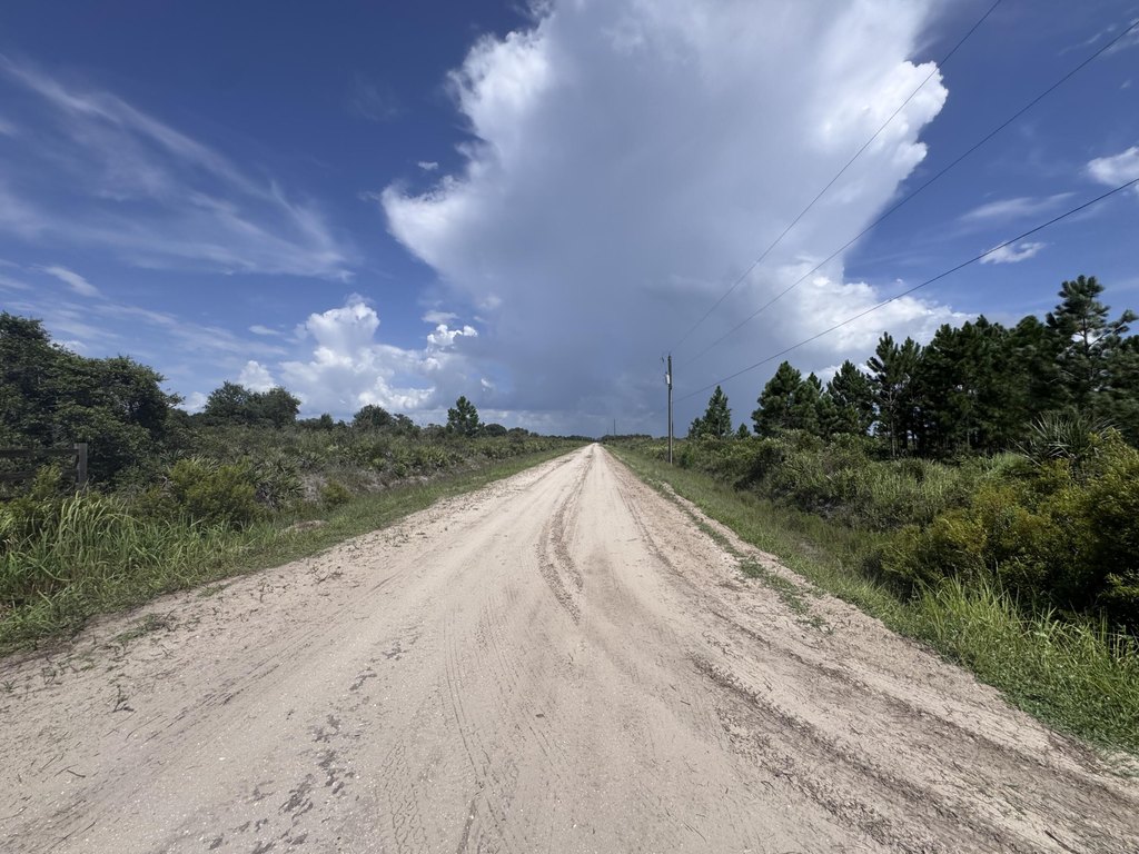 Picture 20