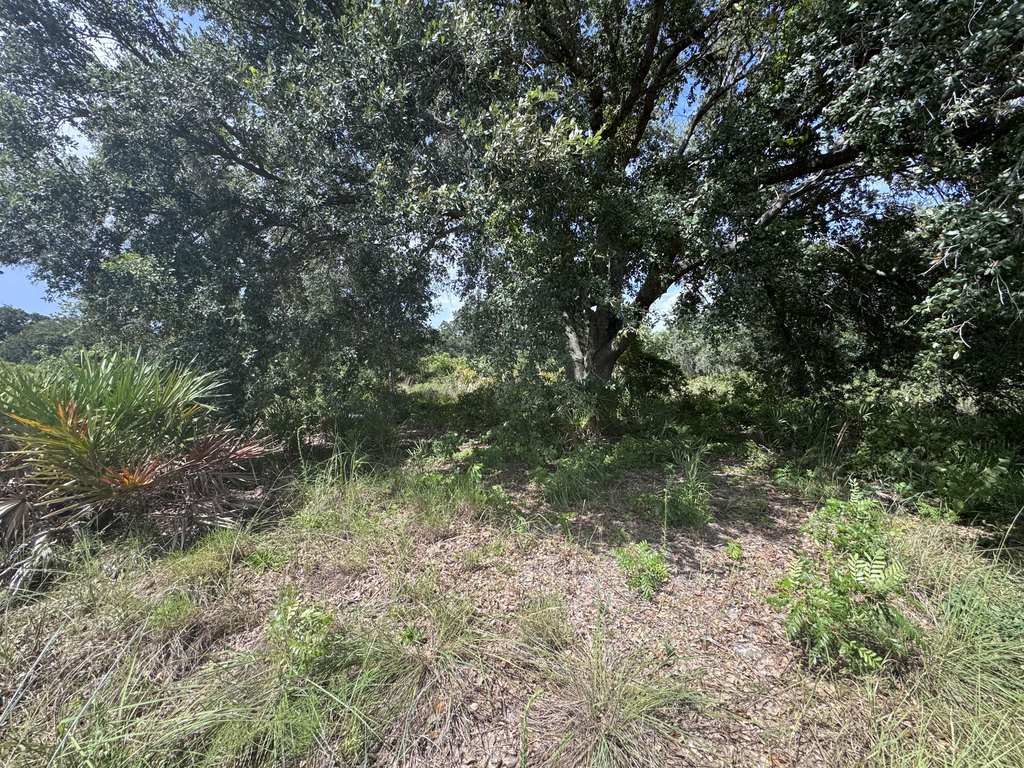 Picture 5