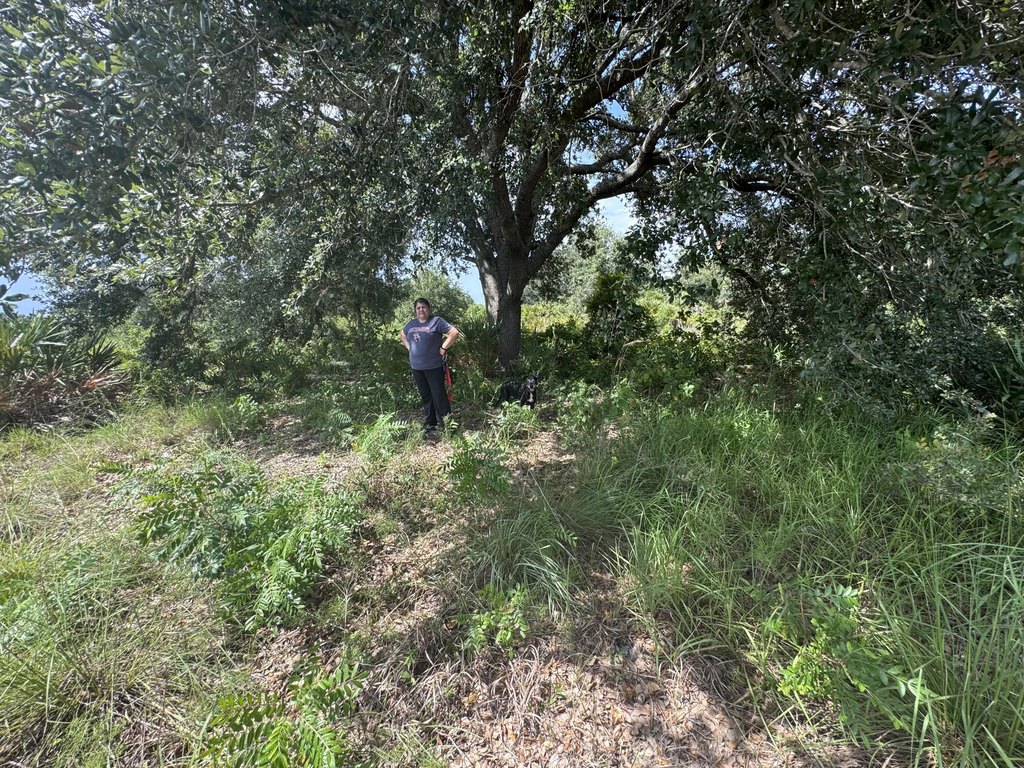 Picture 15