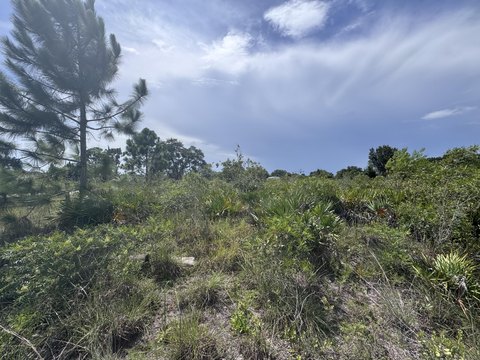 Open Agricultural Land