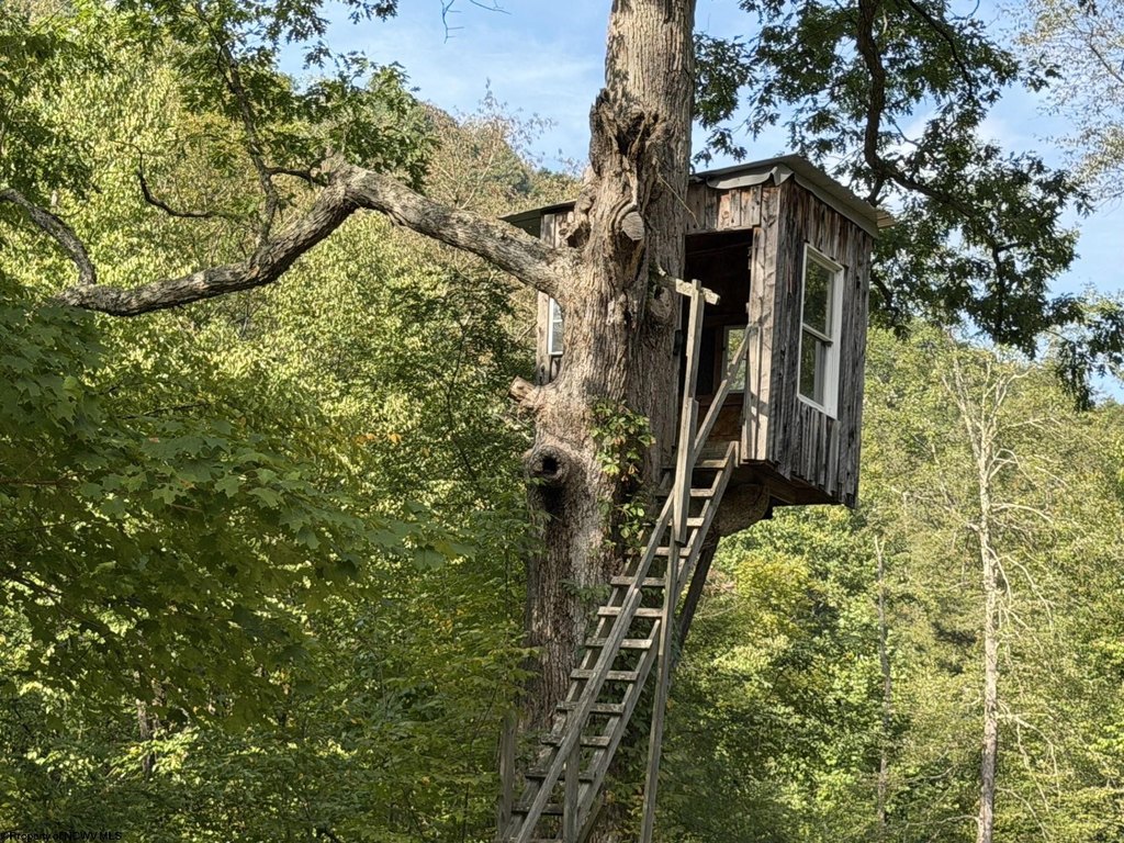 Picture 10