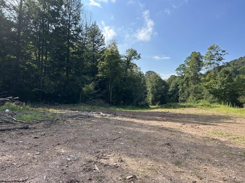 Wooded Hunting Land with Stream