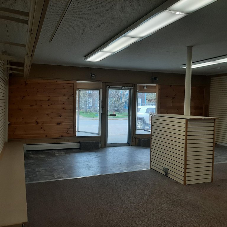 Picture 15