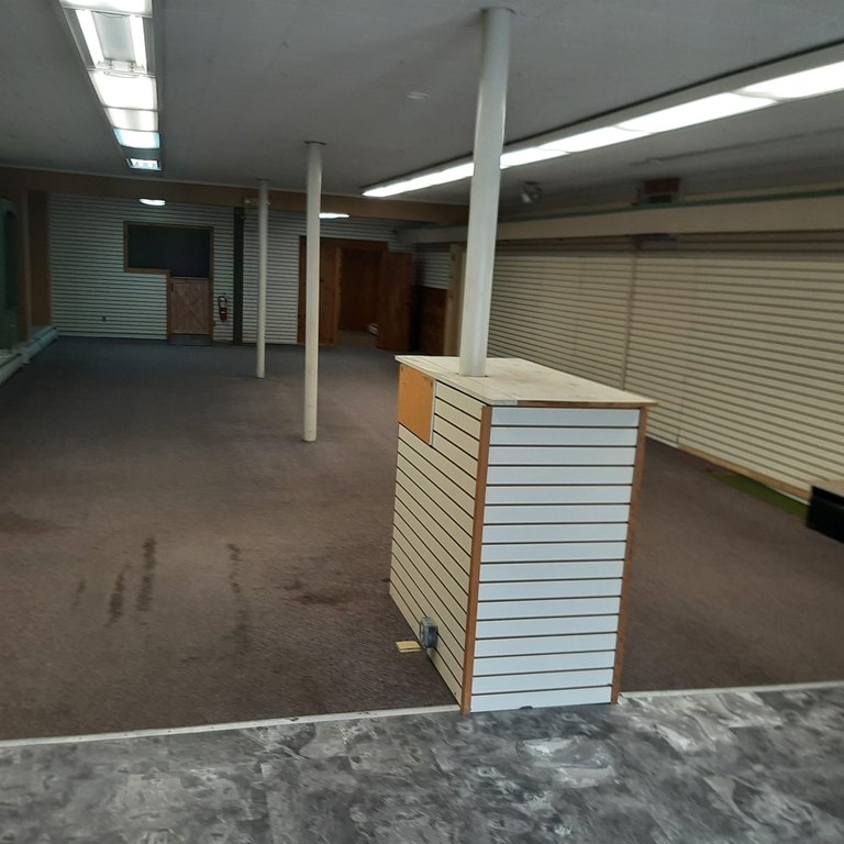 Picture 12