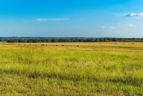 Land in Southern Living Community