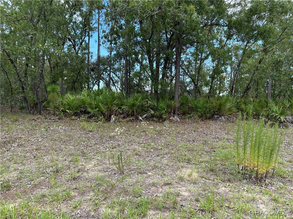 Citrus Springs Land For Sale