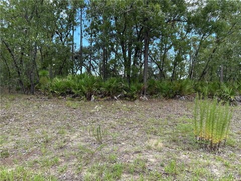 Land, Citrus Springs, FL