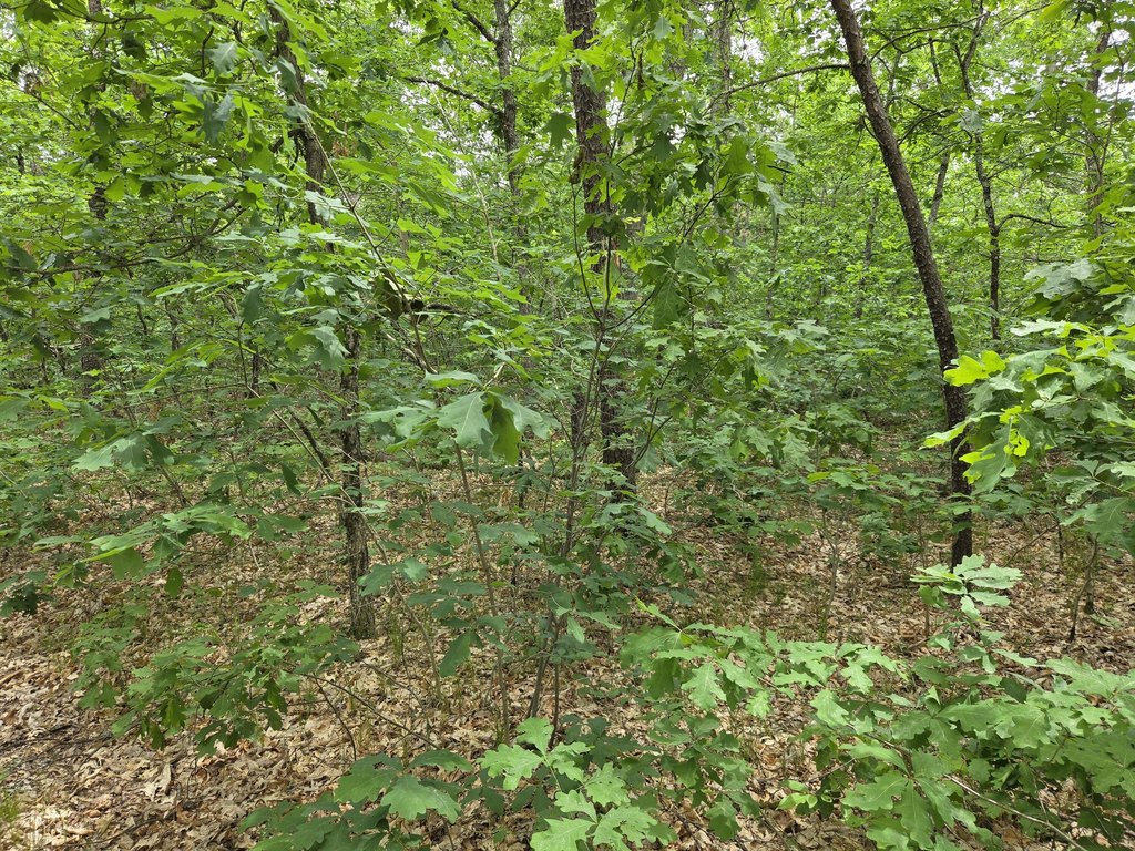 Picture 3