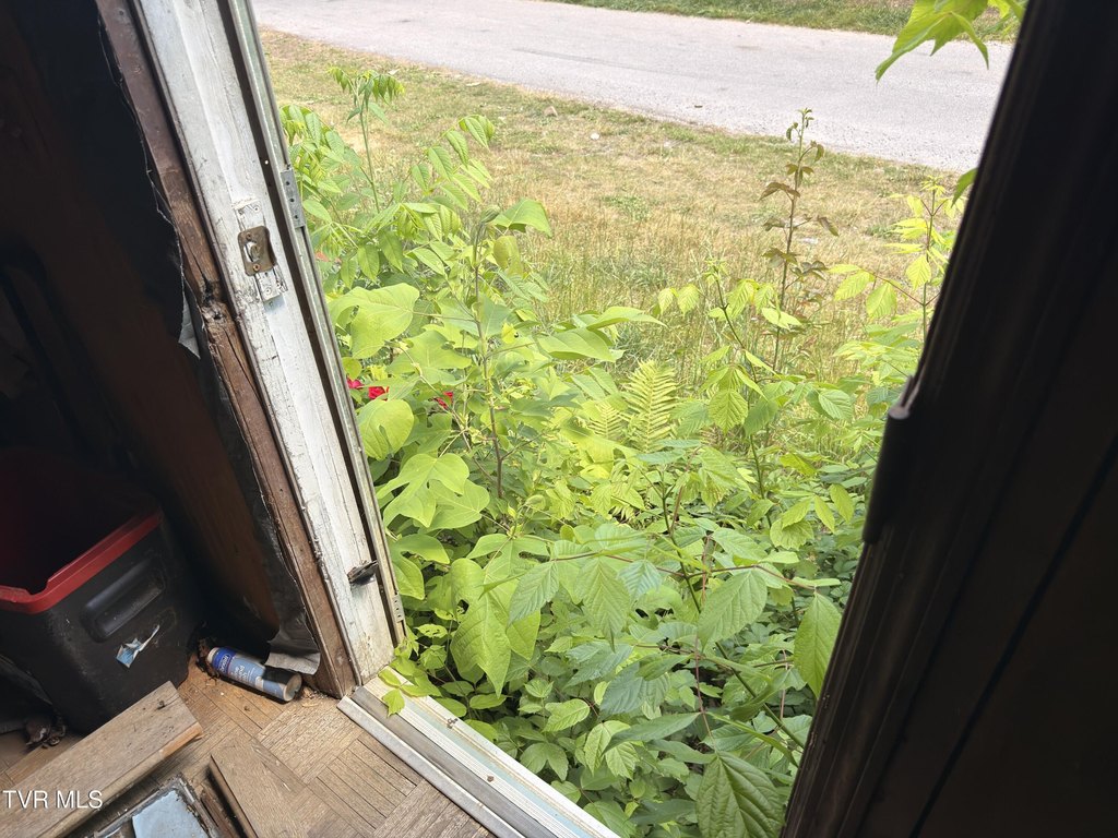 Picture 16
