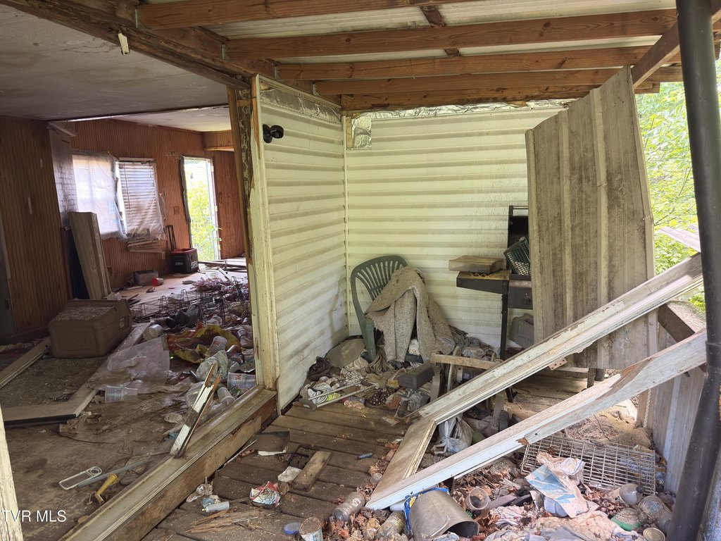 Picture 4