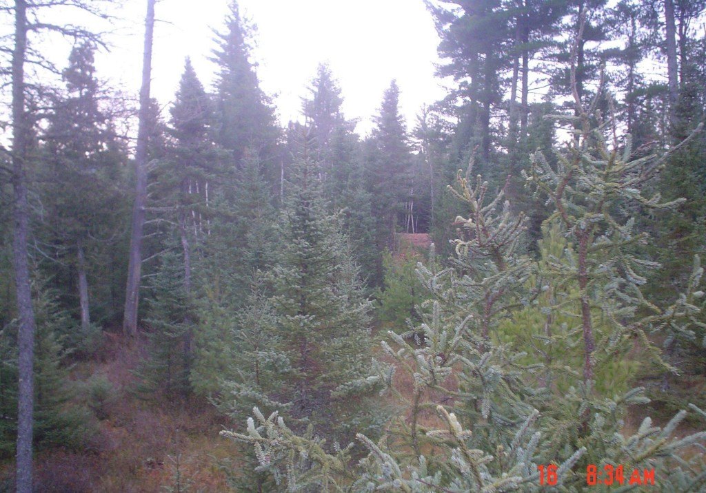 Picture 17