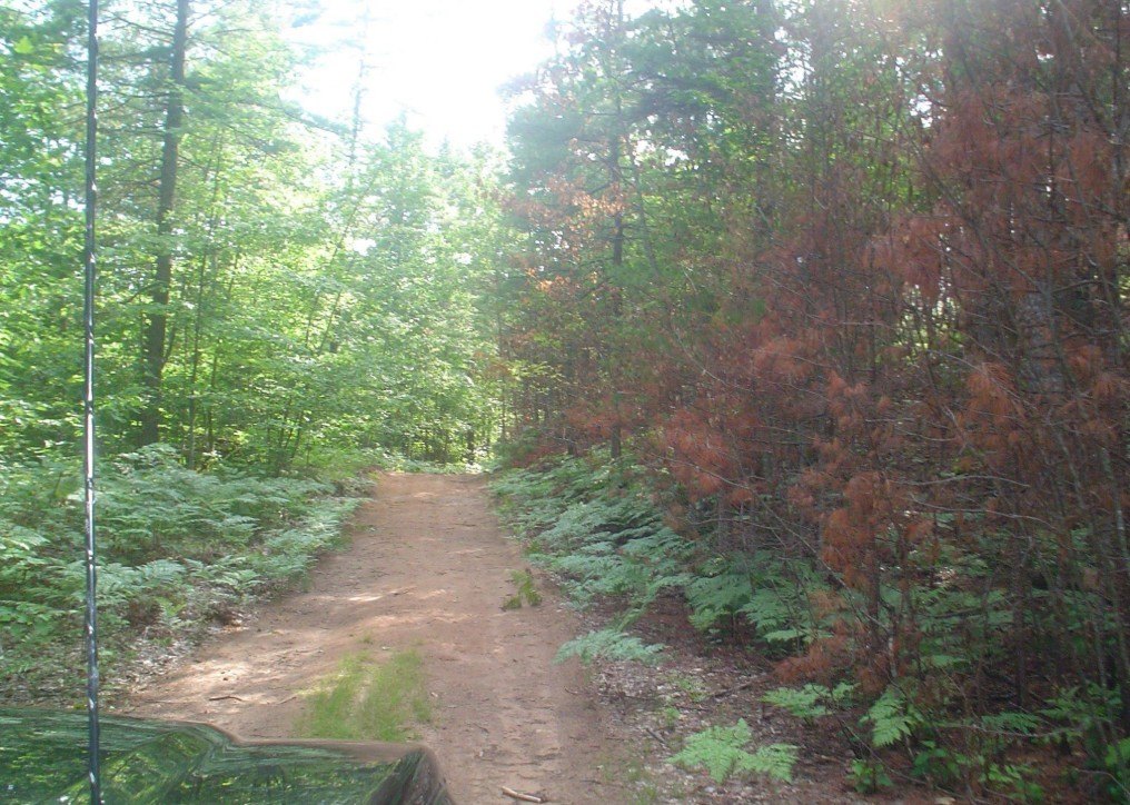 Picture 16