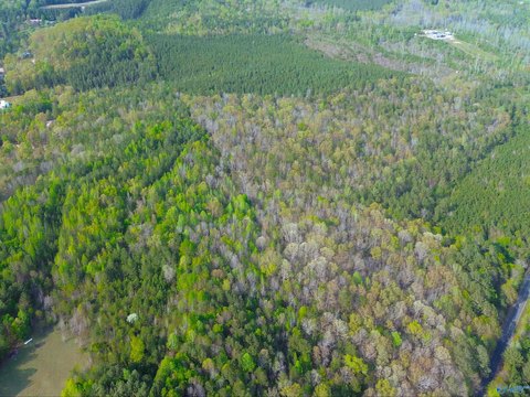 Unrestricted Land Parcel in Piedmont