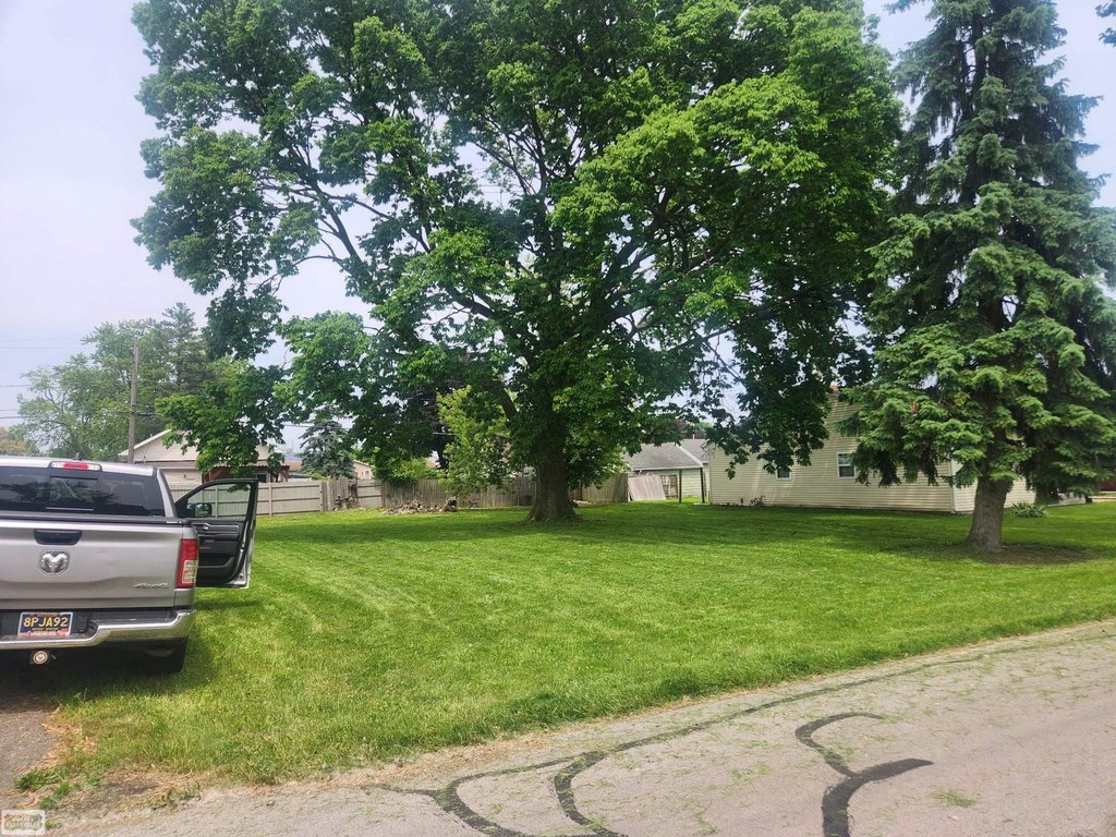 Picture 3