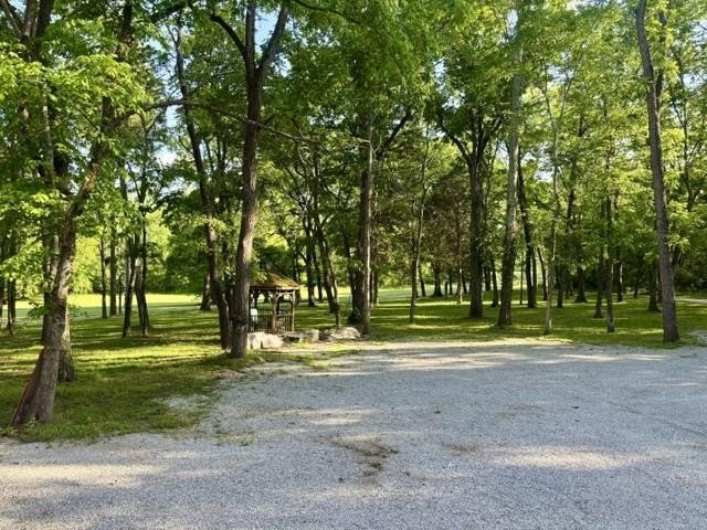 Picture 12