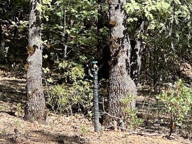 Kelseyville Land with New Septic