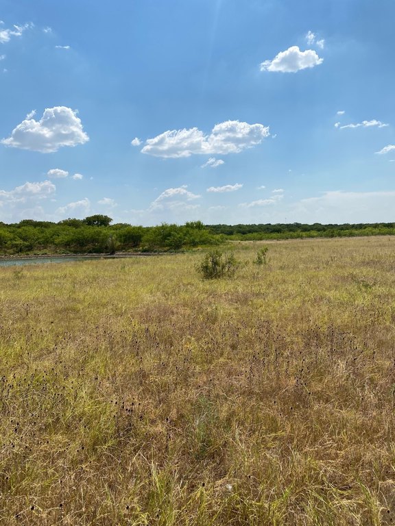 Picture 30