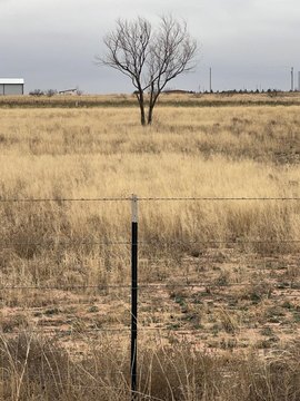 7.5 Acres Land in Seminole