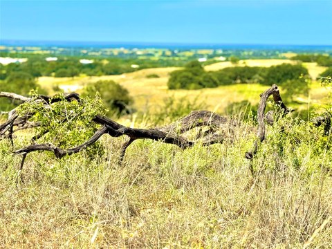 20 Acres of Unimproved Land