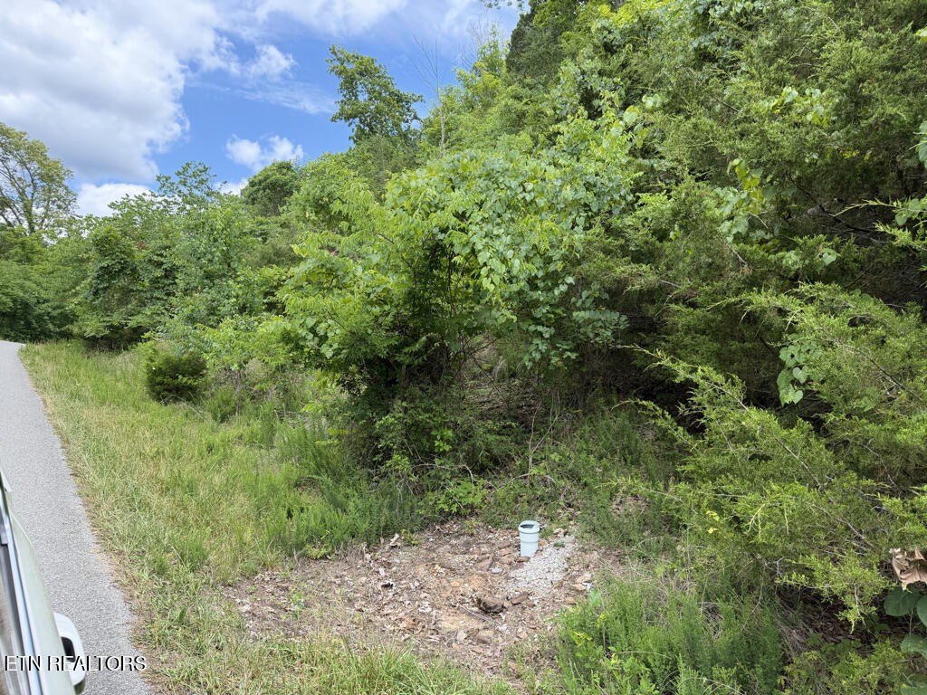 Picture 11