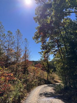 Unrestricted Mountain Land in Murphy