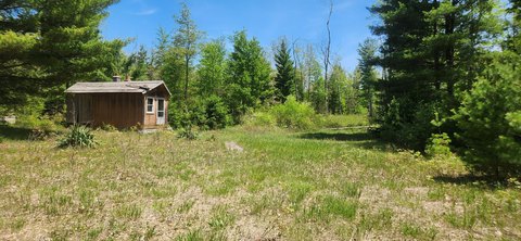 Wooded Acreage in Newaygo County