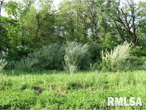 Residential Land in Springfield, IL