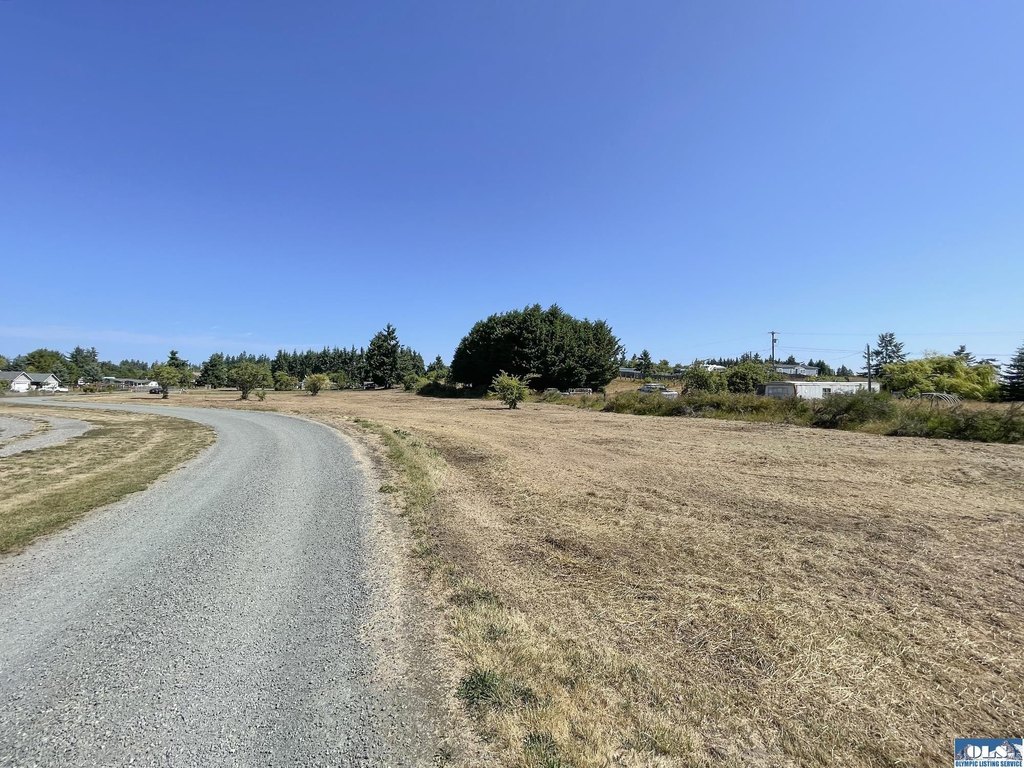 Picture 25