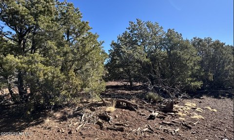 Remote Wilderness Land in Williams