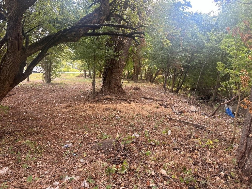 Picture 12