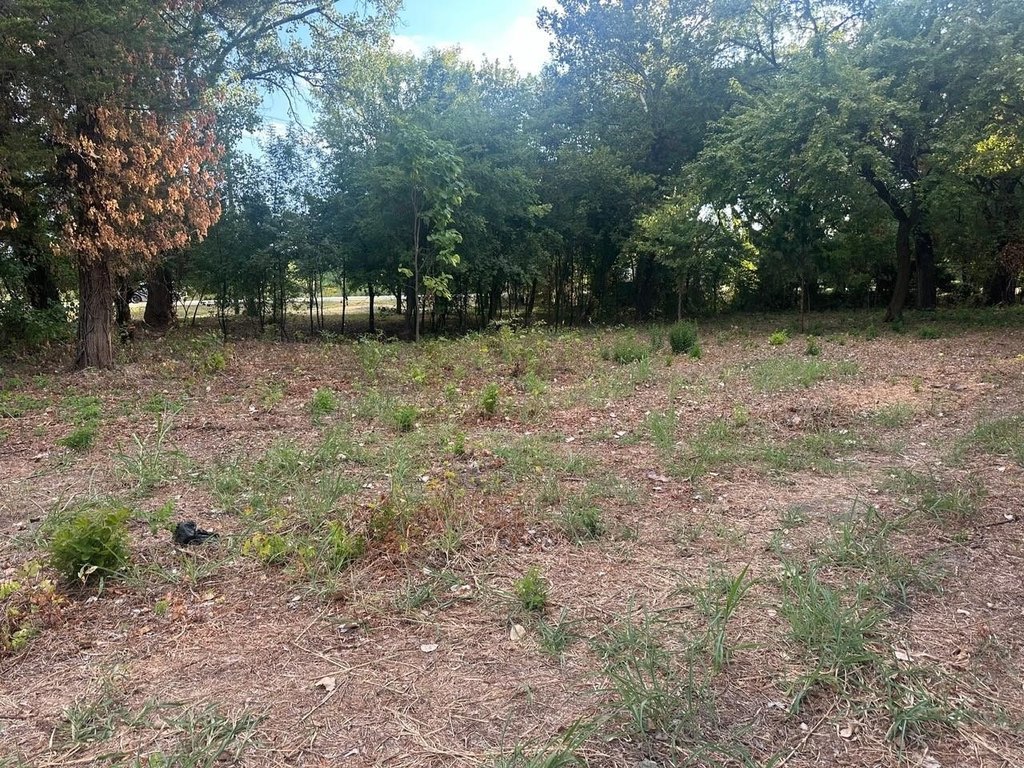 Picture 6