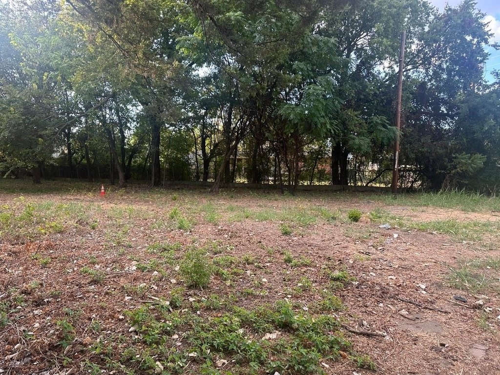 Picture 9