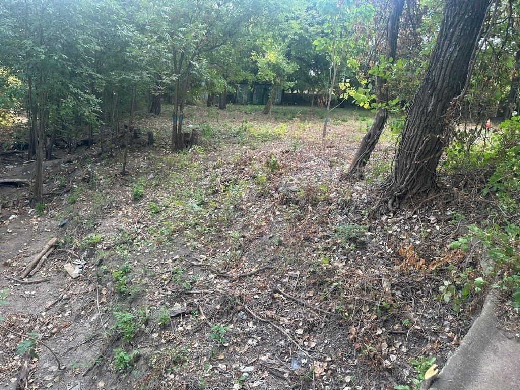 Picture 2