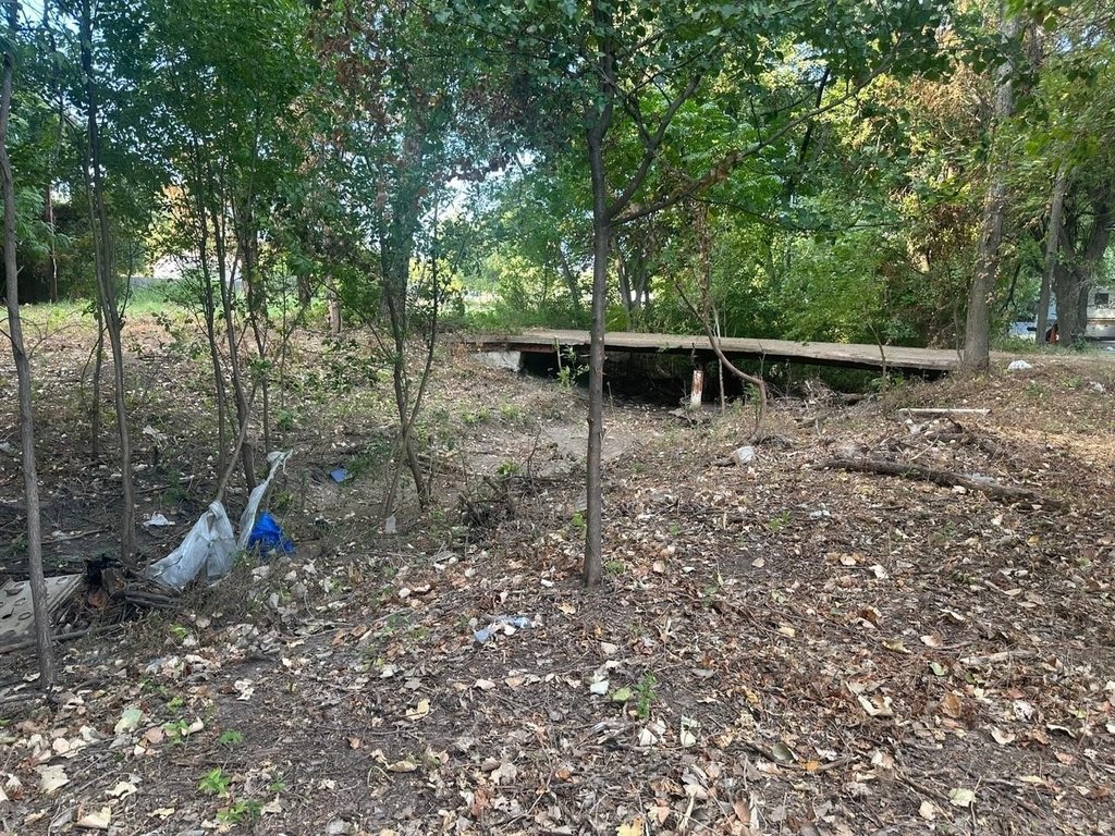 Picture 16