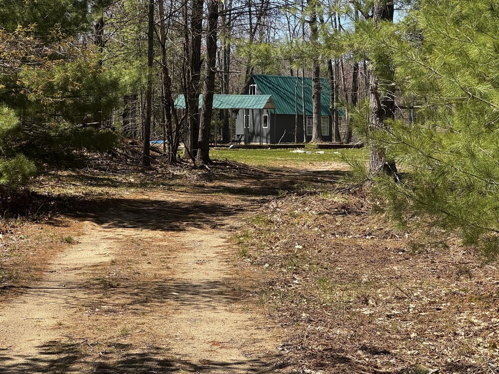 Picture 18