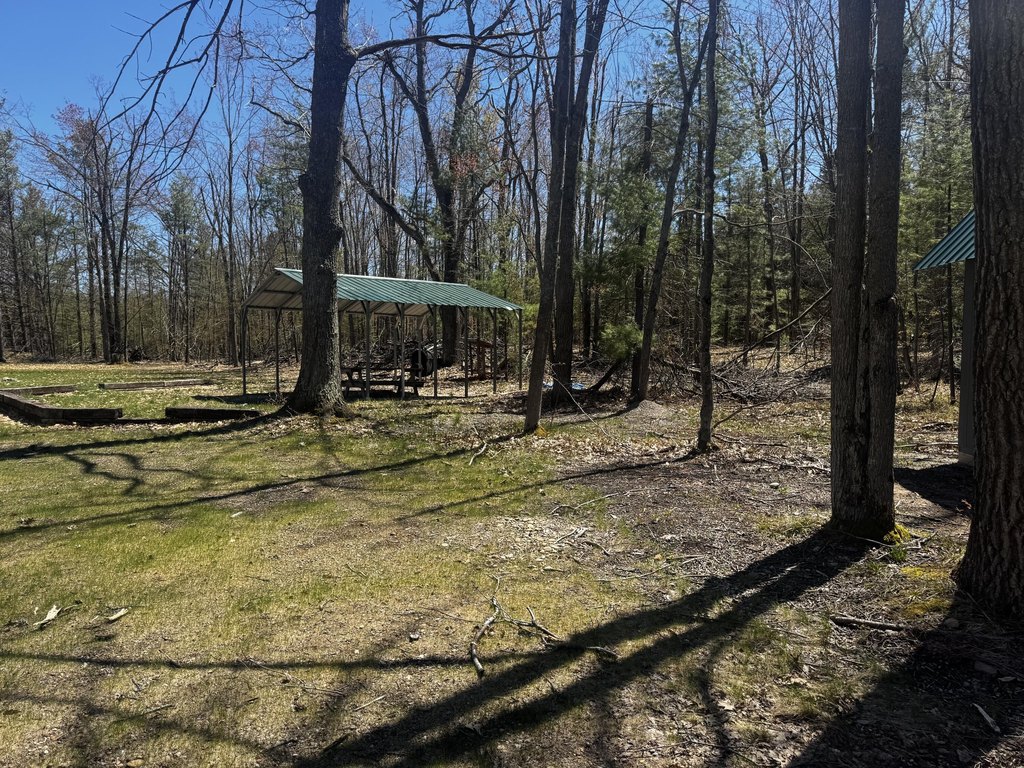 Picture 24