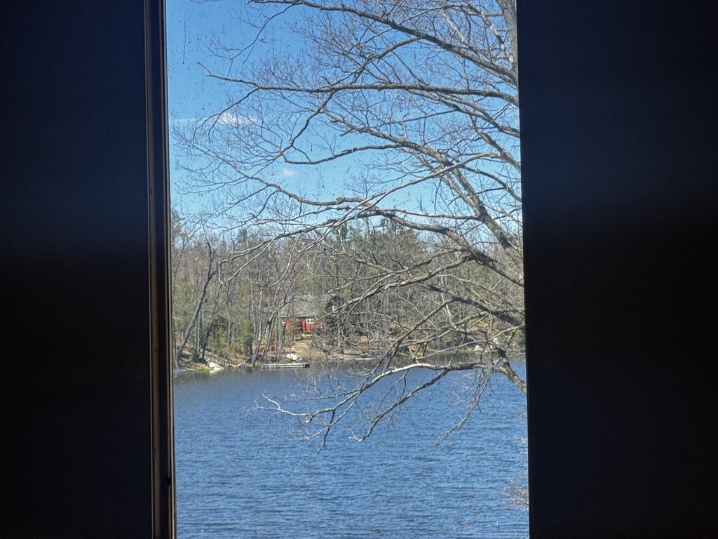 Picture 23
