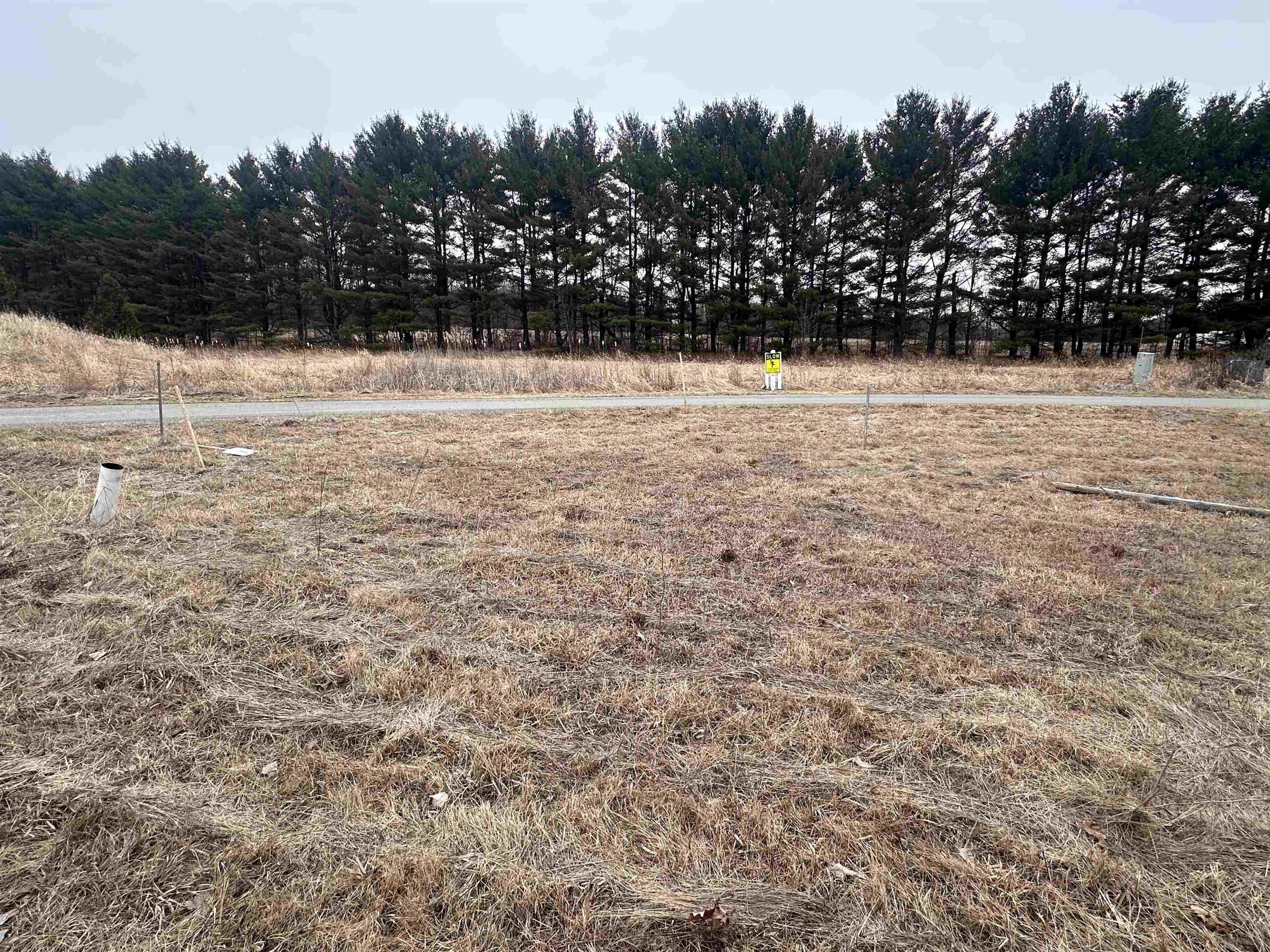 Residential Land in Charlotte, VT