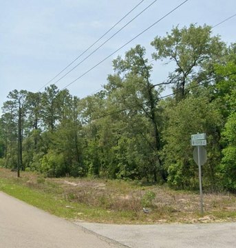 LAND - DUNNELLON, FL