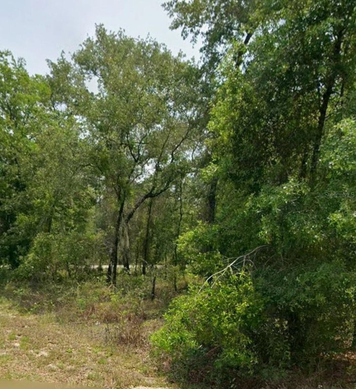 Picture 2