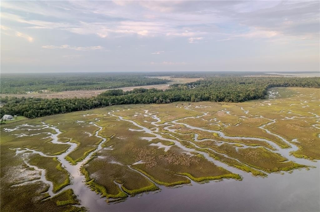 Picture 11