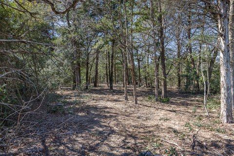 Land, Caldwell, TX