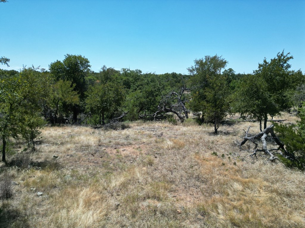 Picture 10