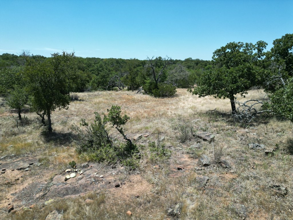 Picture 7