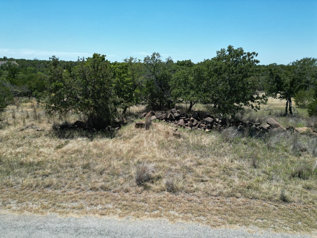Picture 15