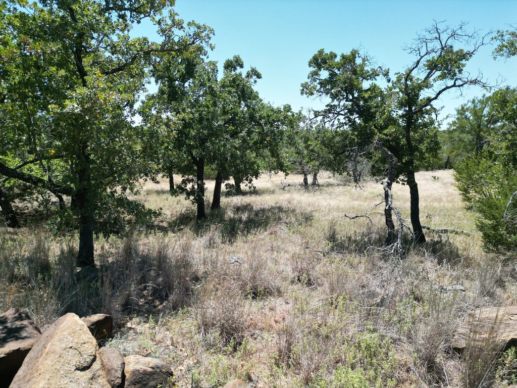 Picture 12