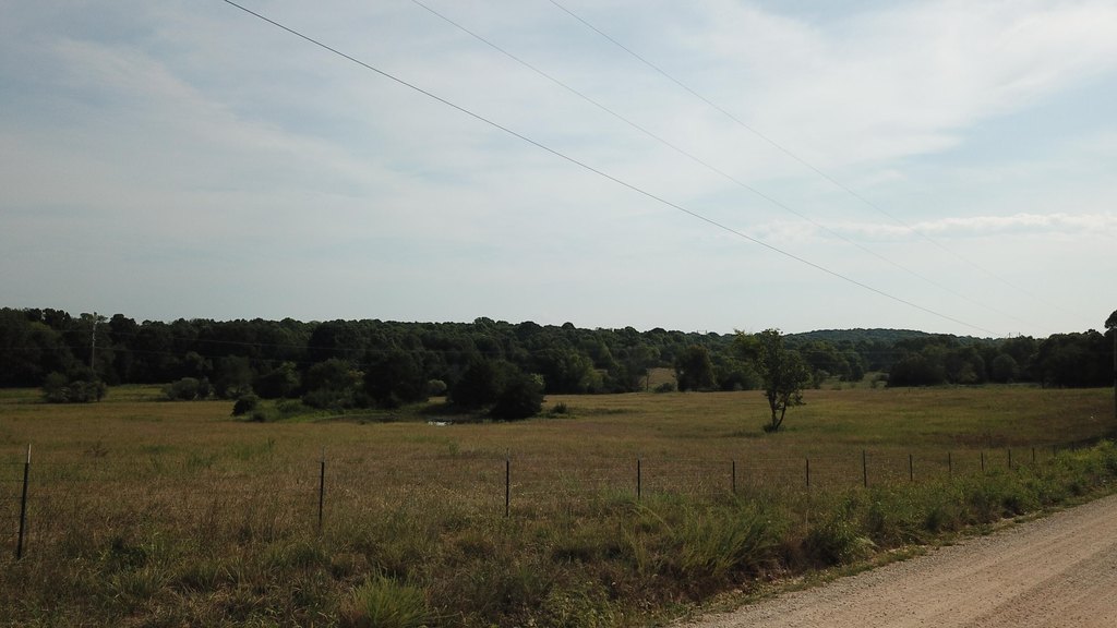 Picture 45